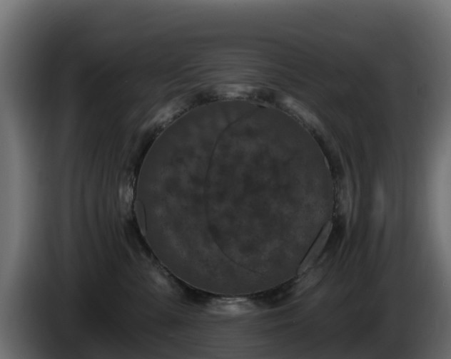X0000085760427200703231158