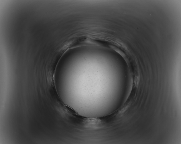 X0000085760429200703231158