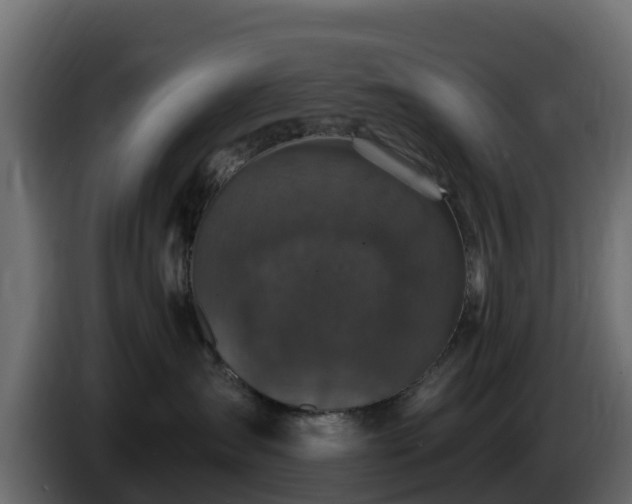 X0000085760431200703231158