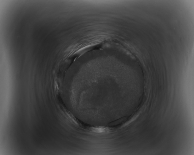 X0000085760432200703231158