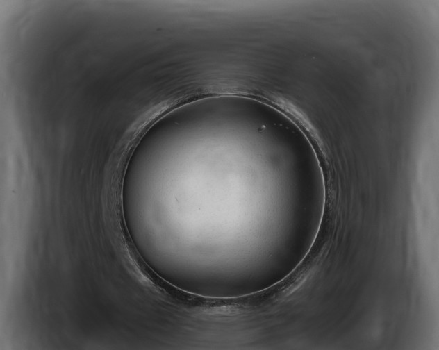 X0000085760433200703231158