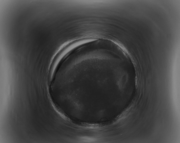 X0000085760438200703231158