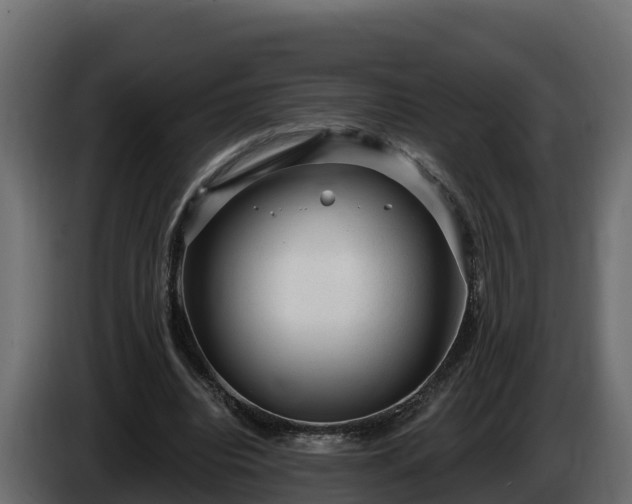 X0000085760440200703231158