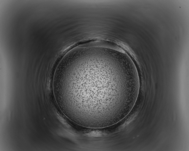 X0000085760441200703231158