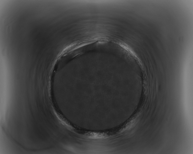 X0000085760442200703231158