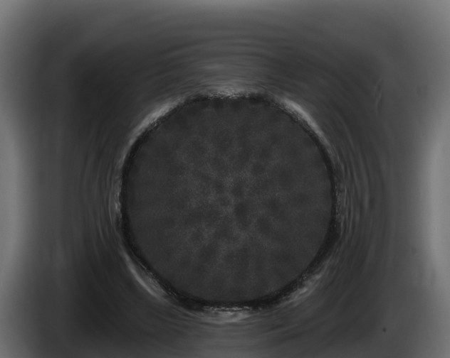 X0000085760443200703231158