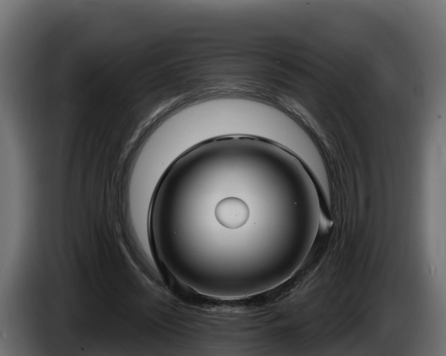 X0000085760444200703231158