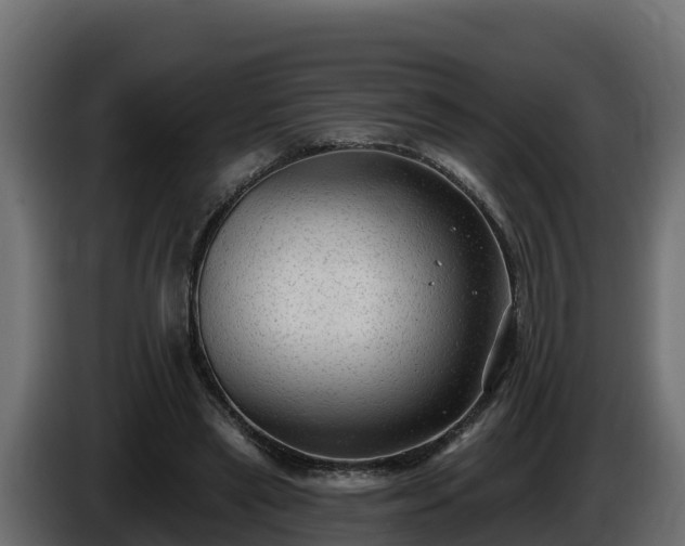 X0000085760445200703231158