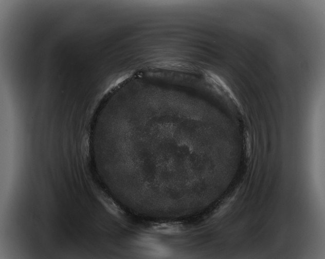 X0000085760447200703231158