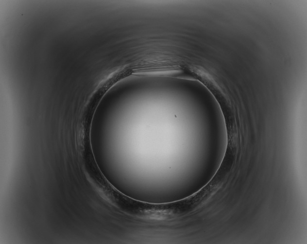 X0000085760448200703231158