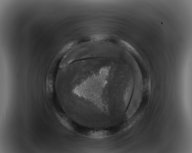 X0000085760452200703231158