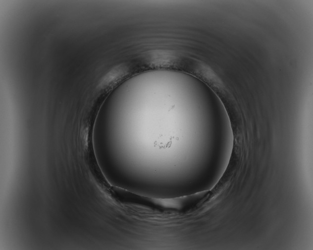 X0000085760454200703231158