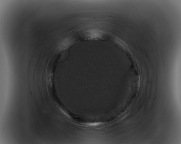 X0000085760462200703231158