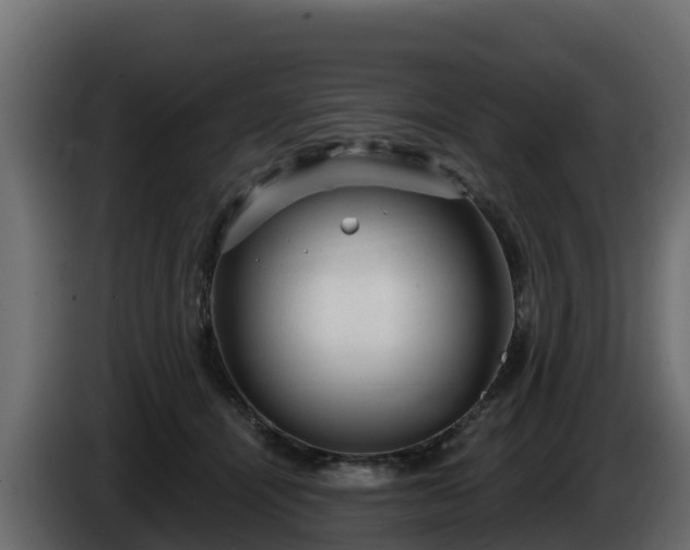 X0000085760464200703231158