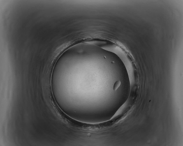 X0000085760481200703231158
