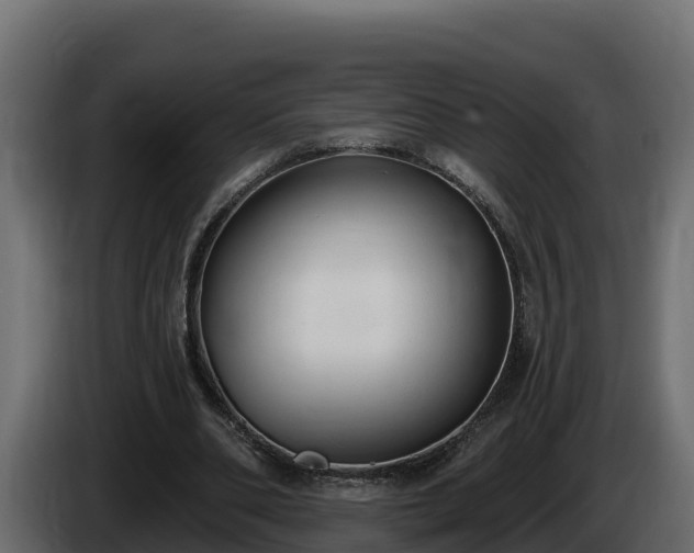 X0000085760486200703231158