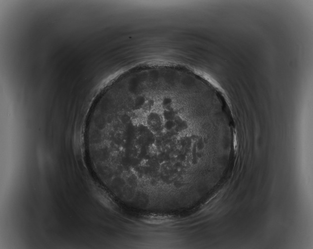 X0000085760487200703231158