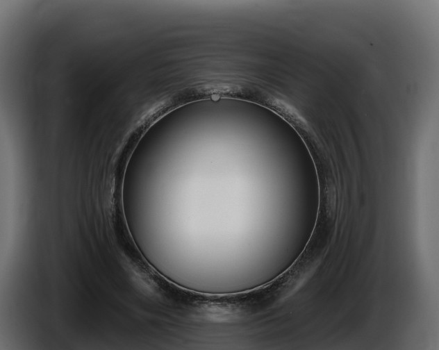 X0000085760490200703231158