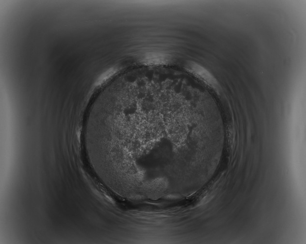 X0000085760491200703231157