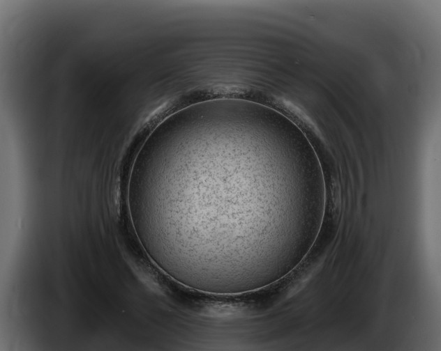 X0000085760494200703231157