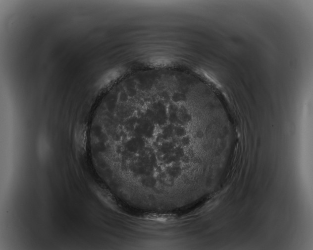 X0000085760495200703231157