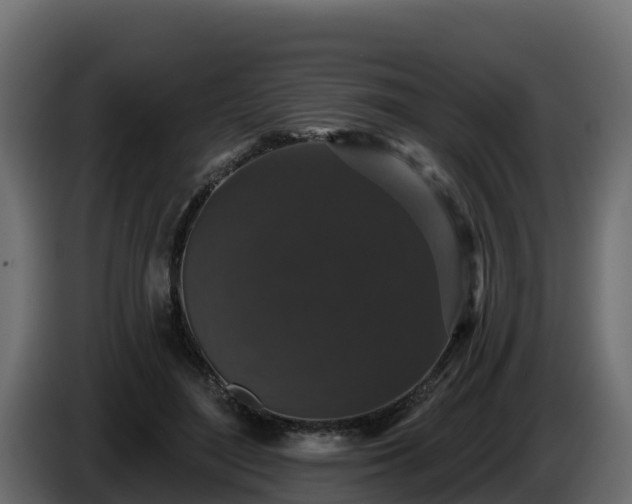 X0000085760500200703231157