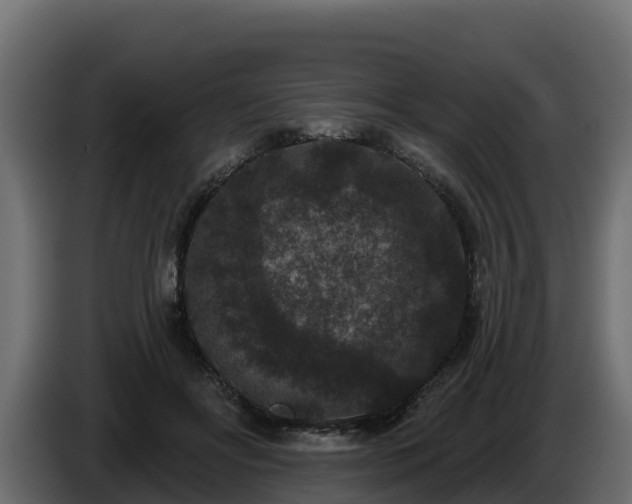 X0000085760502200703231157
