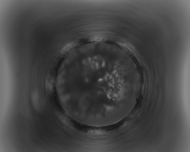 X0000085760503200703231157