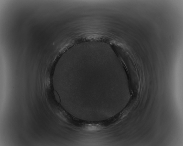 X0000085760508200703231157
