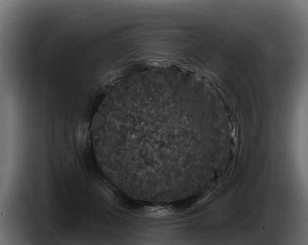 X0000085760511200703231157