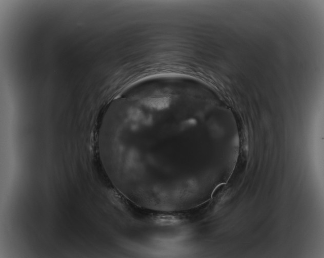 X0000085760519200703231157
