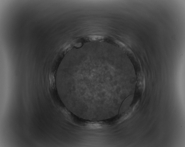 X0000085760523200703231157