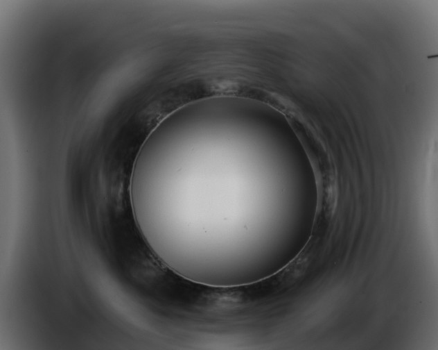 X0000085760525200703231157
