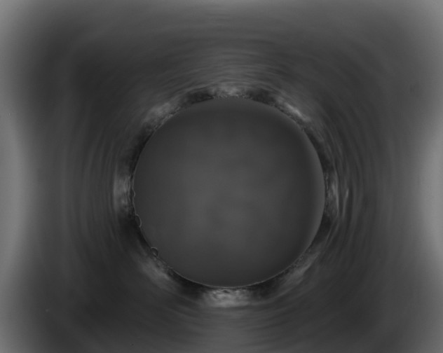 X0000085760526200703231157