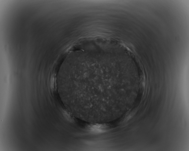 X0000085760527200703231157