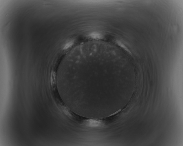 X0000085760528200703231157