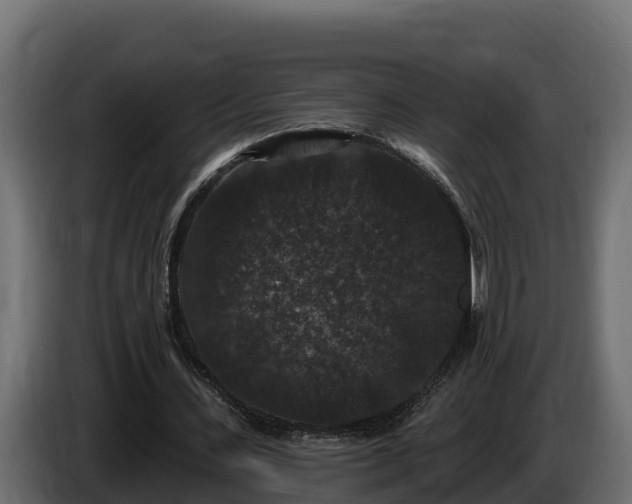 X0000085760531200703231156