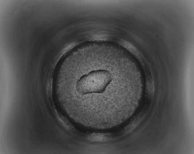 X0000085760534200703231156