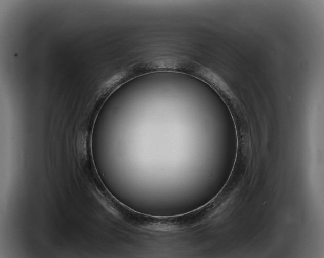 X0000085760537200703231156