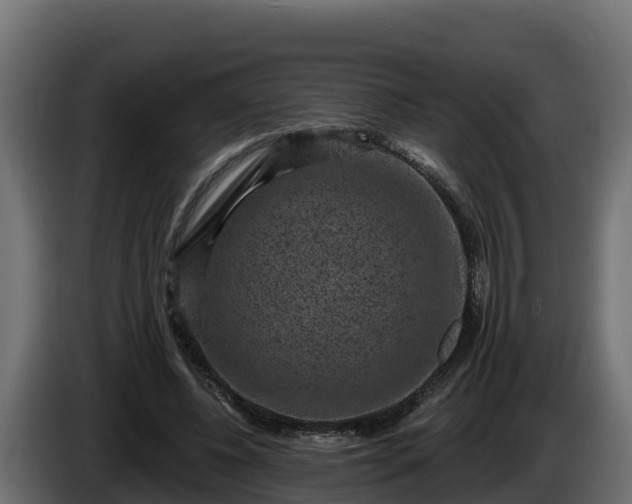 X0000085760540200703231156