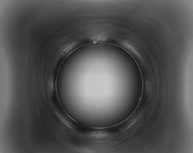 X0000085760541200703231156
