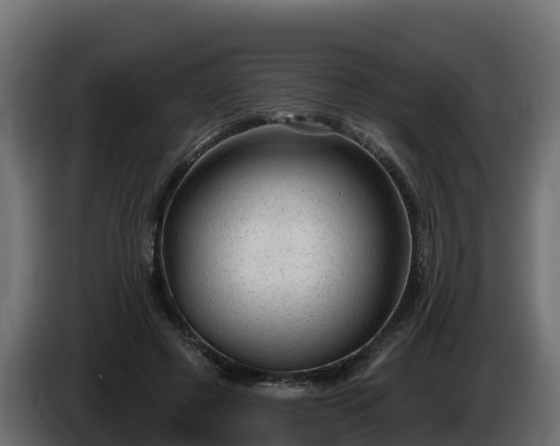 X0000085760545200703231157