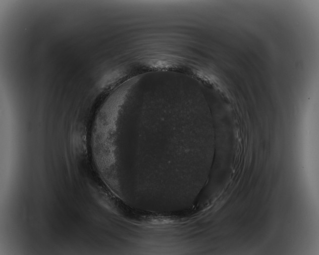 X0000085760547200703231157