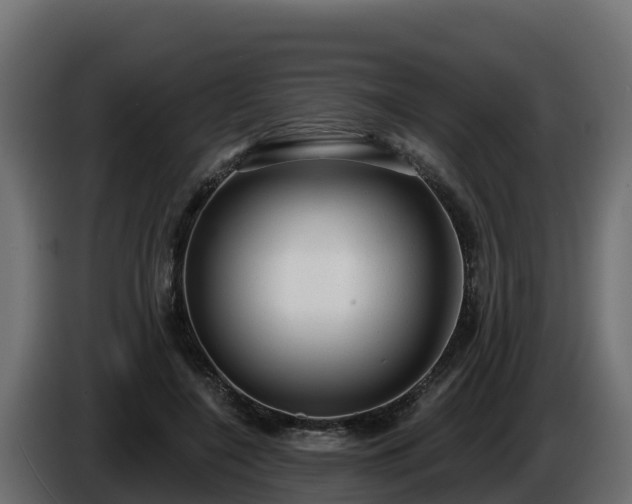 X0000085760548200703231157