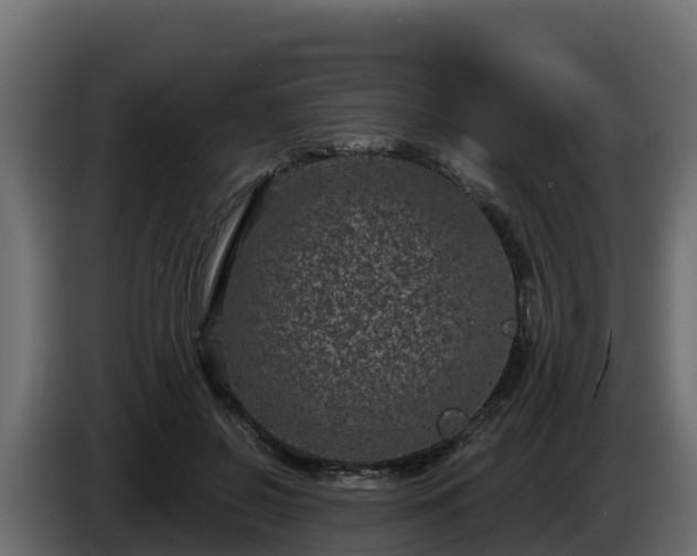 X0000085760550200703231157