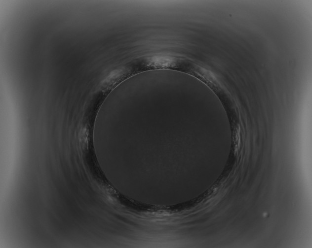 X0000085760551200703231157