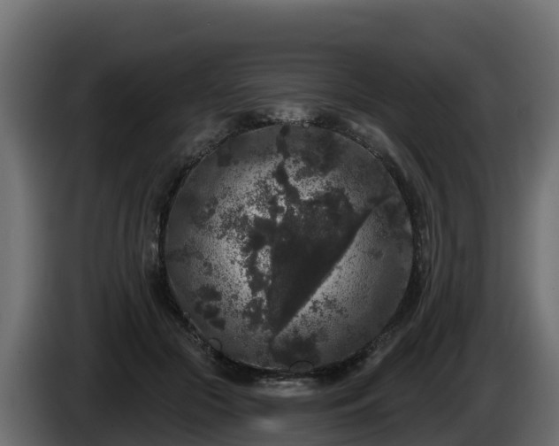 X0000085760553200703231157