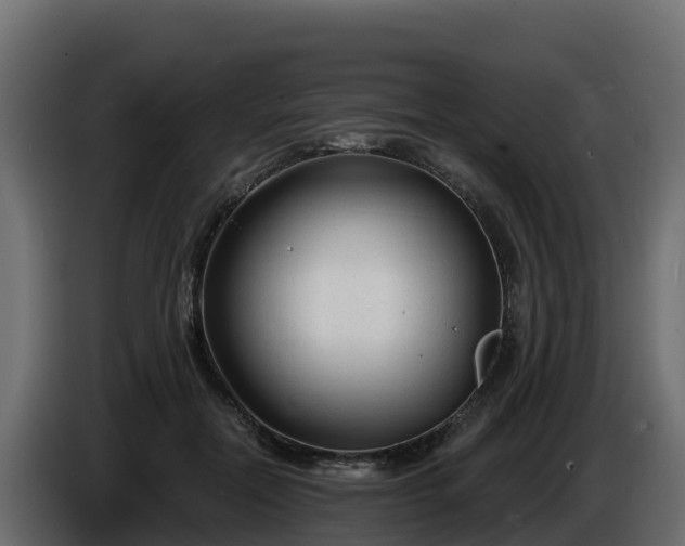 X0000085760554200703231157