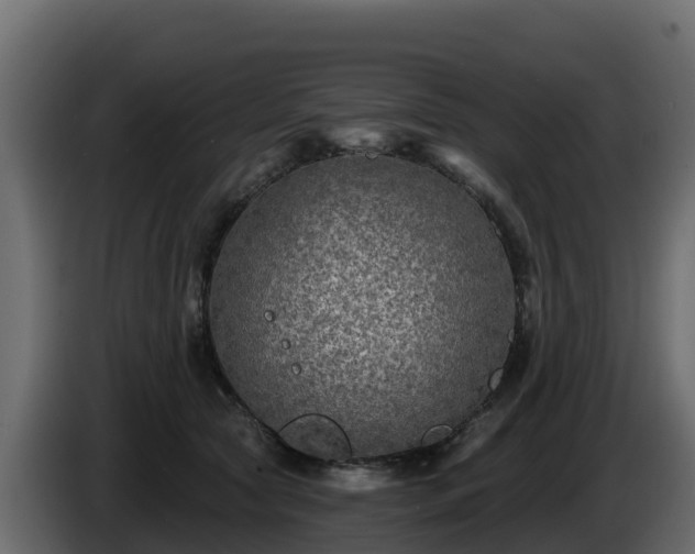 X0000085760561200703231157