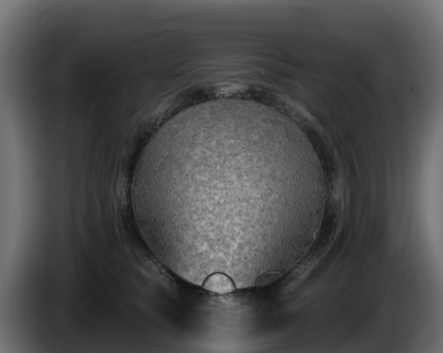 X0000085760565200703231157